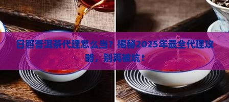 日照普洱茶代理条件是什么