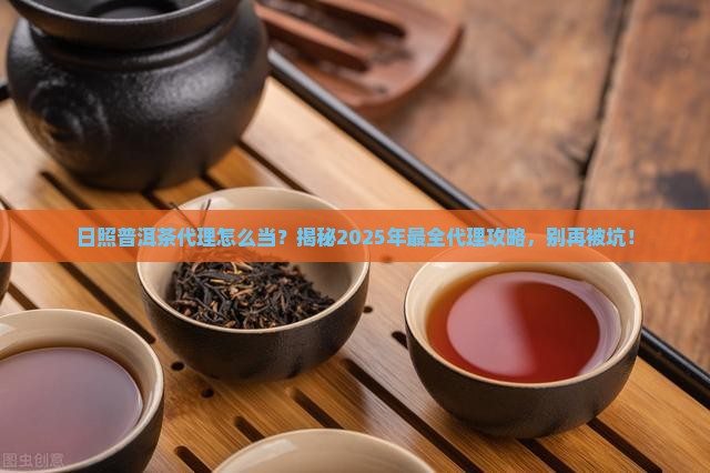 日照普洱茶代理条件是什么
