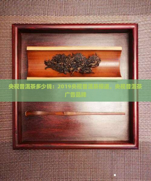 央视普洱茶多少钱
