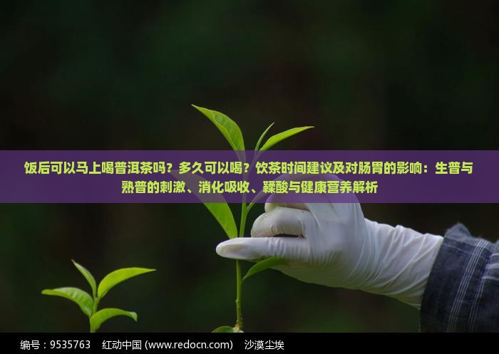 饭后可以马上喝普洱茶吗