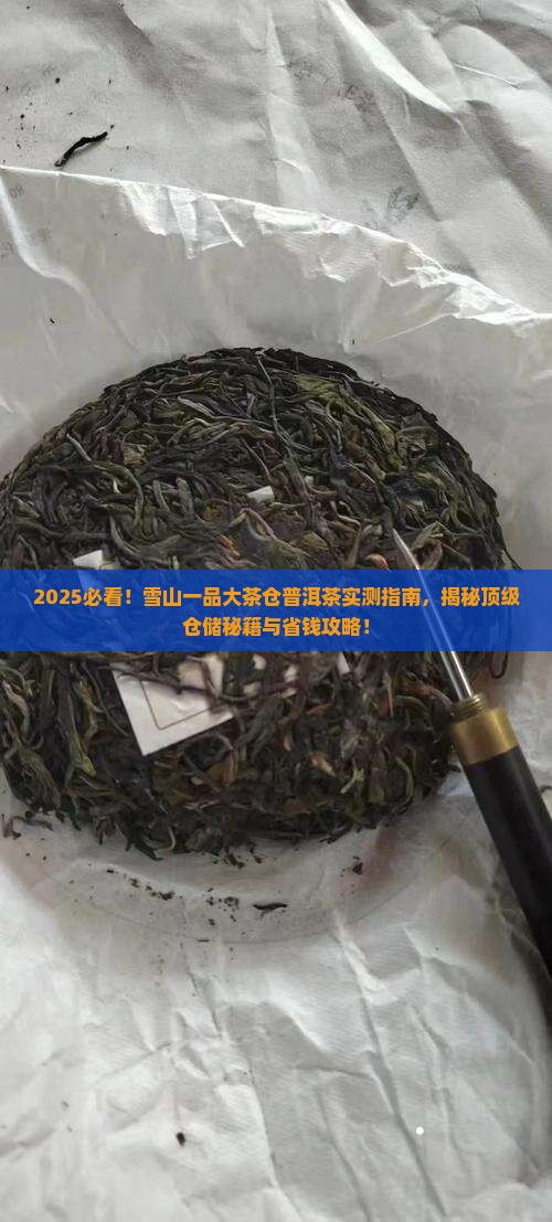 雪山一品大茶仓普洱茶