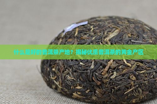 什么是好的普洱茶产地