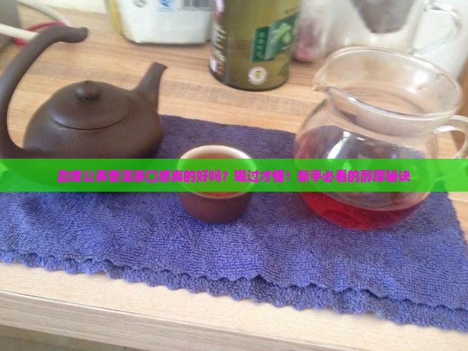 勐库公弄普洱茶口感