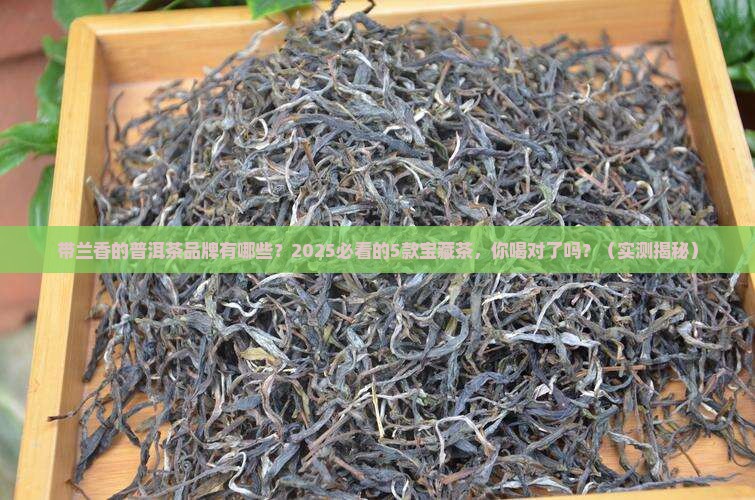 带兰香的普洱茶品牌