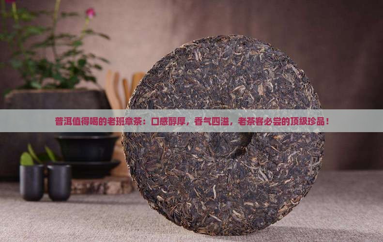 普洱值得喝的老班章茶