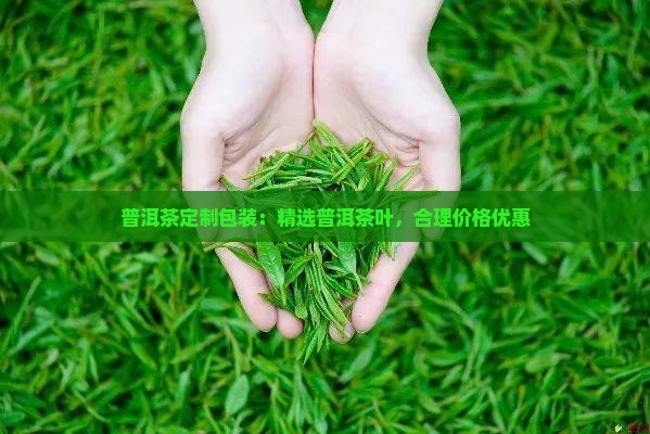 牛年普洱茶定制包装