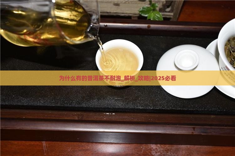 为什么有的普洱茶不耐泡