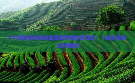 曲阳哪家普洱茶好喝些的