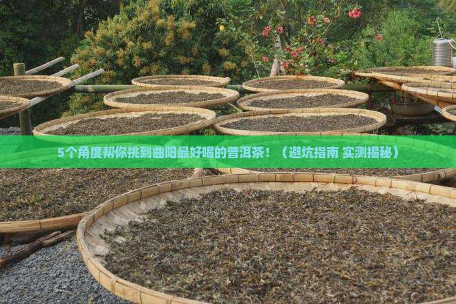 曲阳哪家普洱茶好喝些的