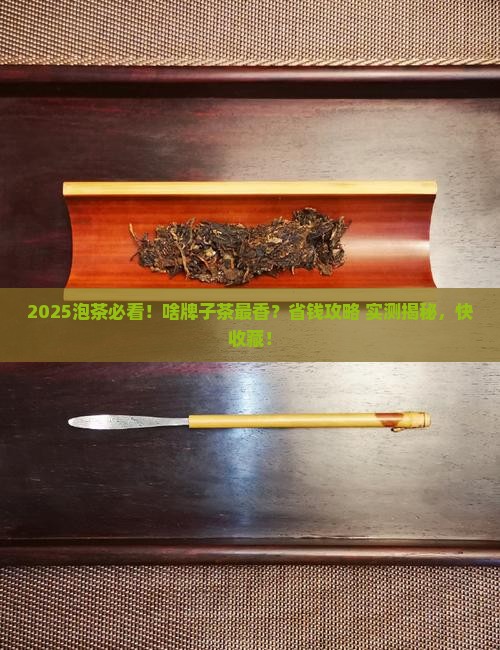 啥牌子适合泡茶