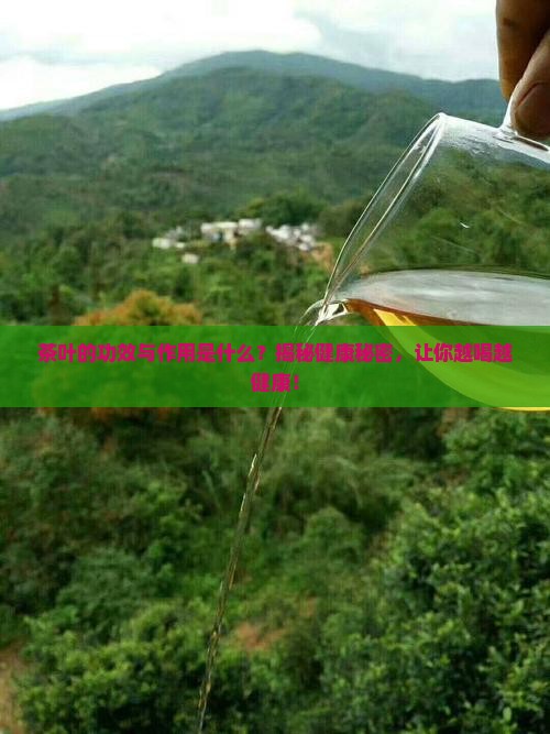 茶叶的功效与作用是什么