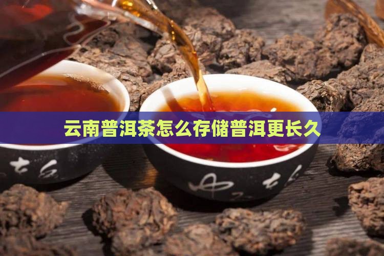 云南怎么存储普洱茶