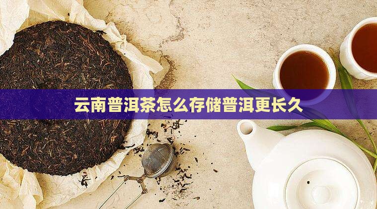 云南怎么存储普洱茶