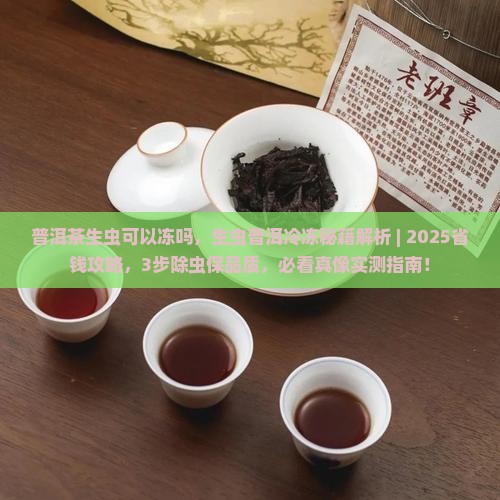 普洱茶生虫可以冻吗