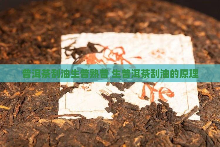 普洱茶刮油生普熟普