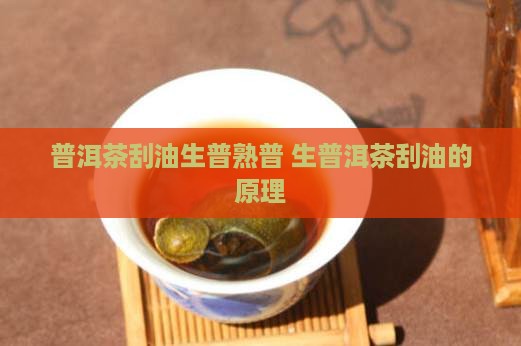 普洱茶刮油生普熟普