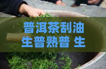 普洱茶刮油生普熟普