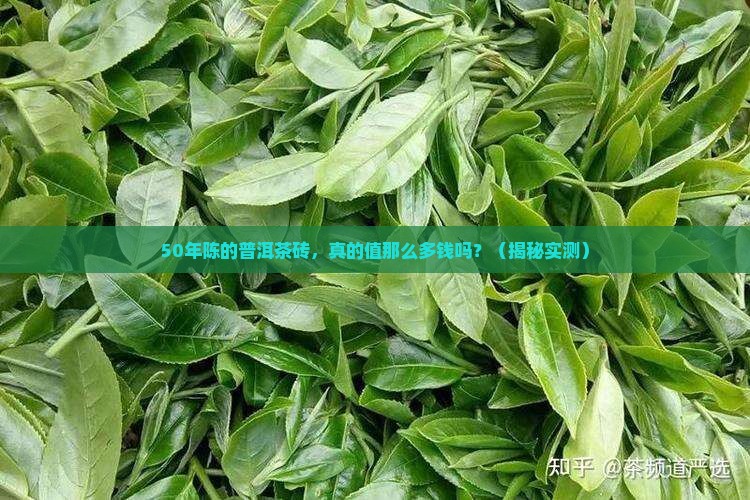50年陈的普洱茶砖