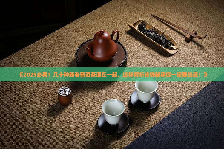 几十种新老普洱茶混在一起