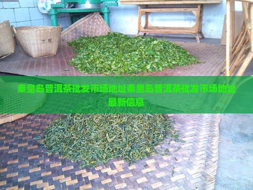 秦皇岛普洱茶批发市场地址