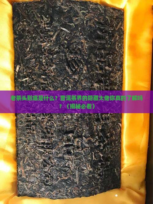 普洱茶的老茶头是什么