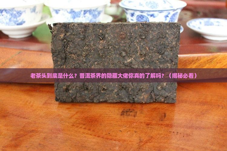 普洱茶的老茶头是什么