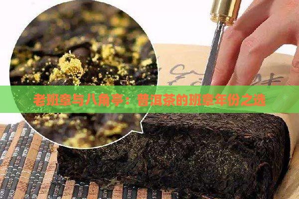 八角亭老班章年份