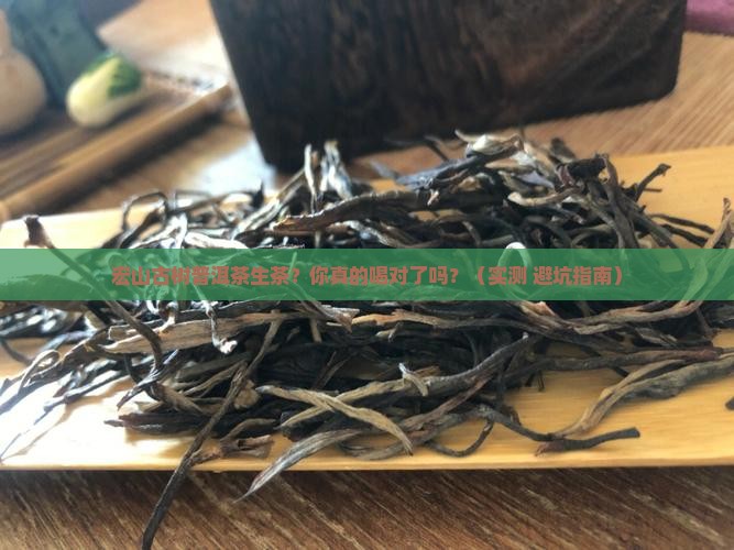 宏山古树普洱茶生茶