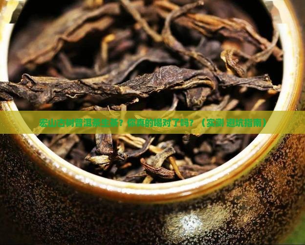 宏山古树普洱茶生茶