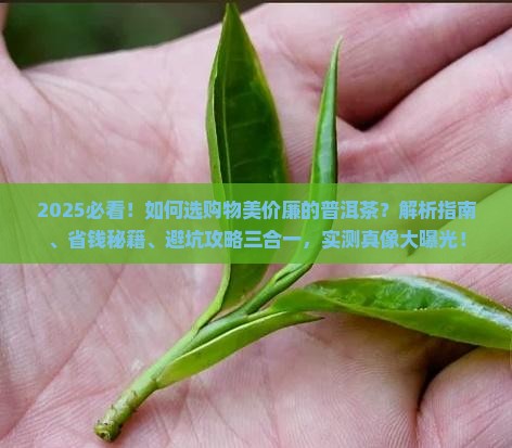 如何选购物美价廉的普洱茶