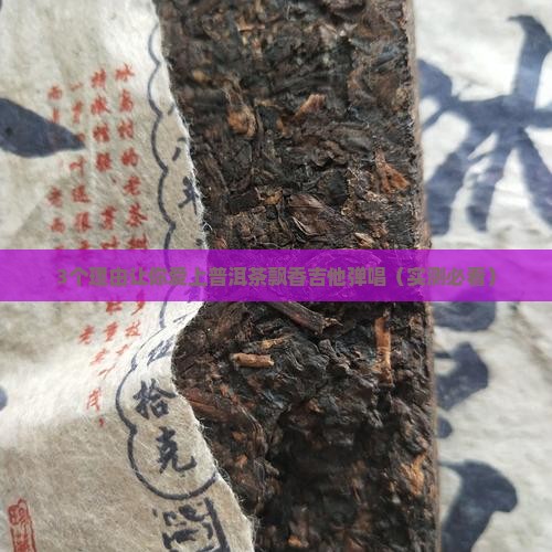 普洱茶飘香吉他弹唱