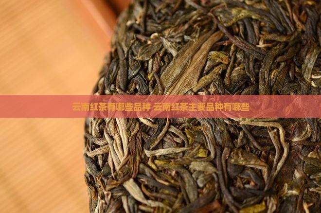 云南红茶有哪些品种
