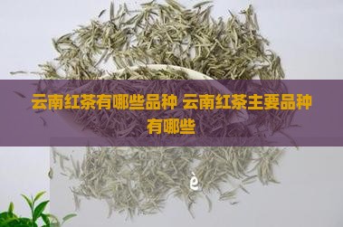 云南红茶有哪些品种