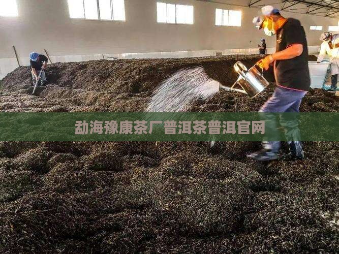 云南勐海豫康茶厂官网