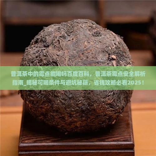 普洱茶中的霉点能喝吗百度百科