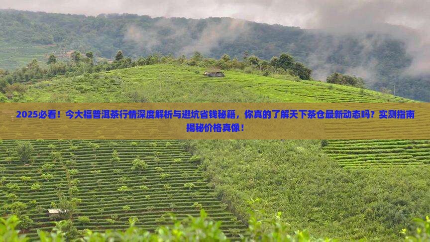 天下茶仓行情网今大福
