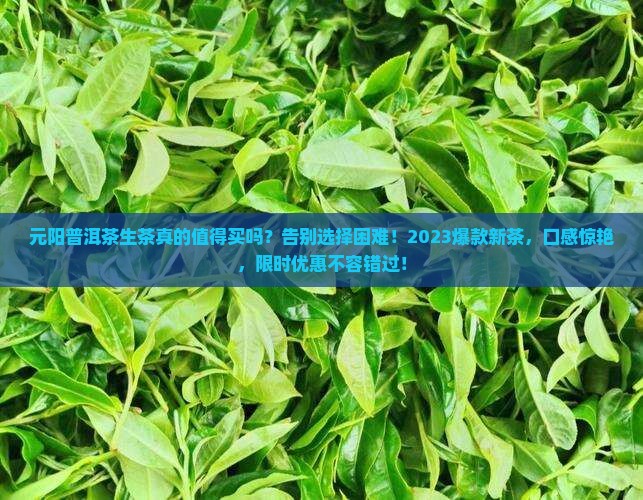 元阳普洱茶生茶