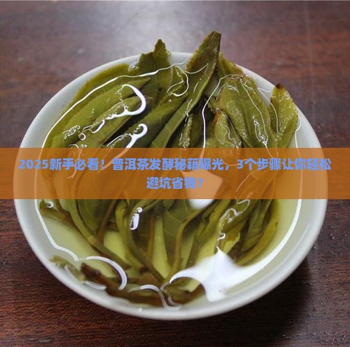 普洱茶如何发酵成功