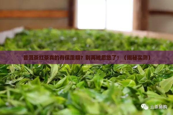 普洱茶红茶有保质期嘛