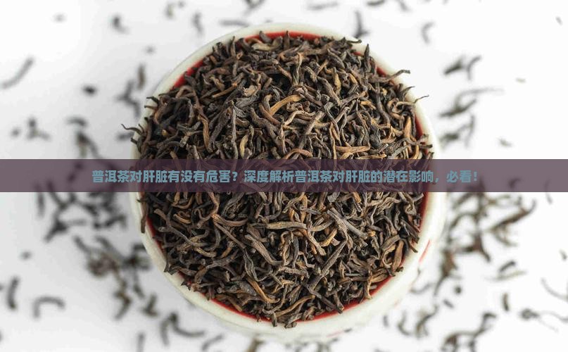 普洱茶对肝脏有没有危害
