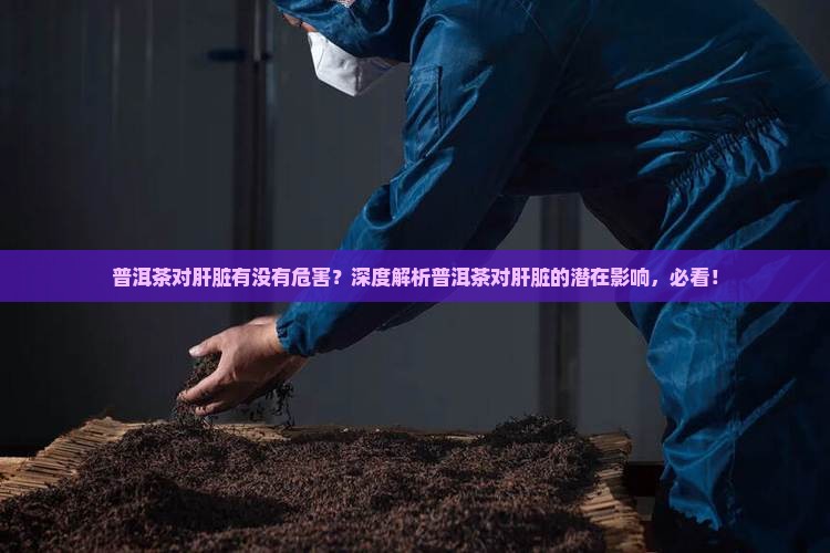 普洱茶对肝脏有没有危害