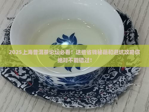 上海普洱茶论坛