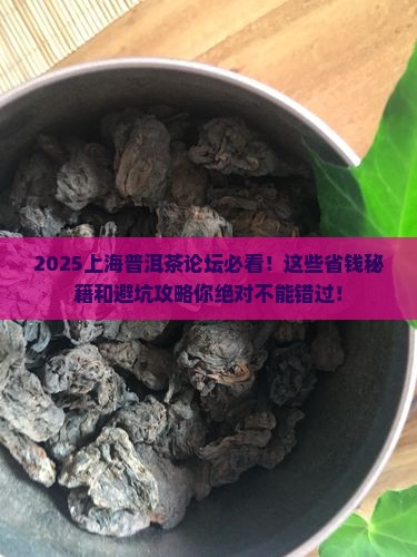 上海普洱茶论坛
