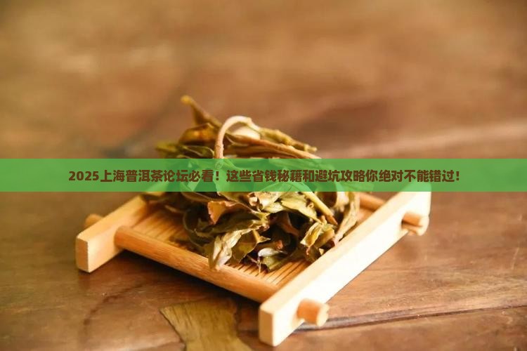 上海普洱茶论坛