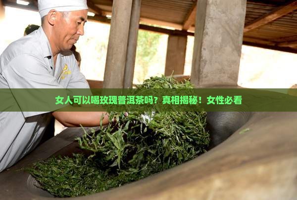 女人可以喝玫瑰普洱茶吗