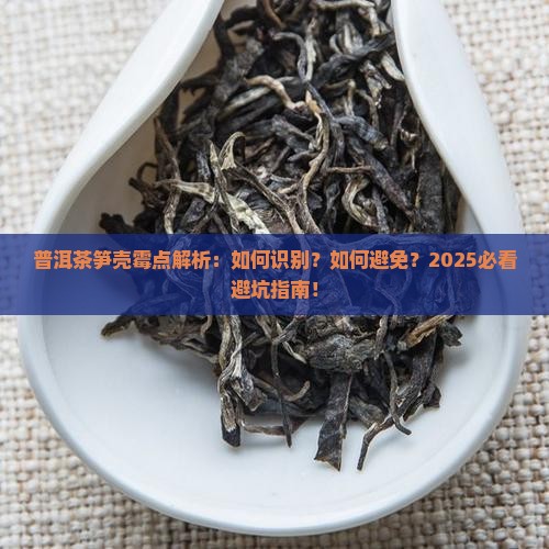 普洱茶笋壳霉点