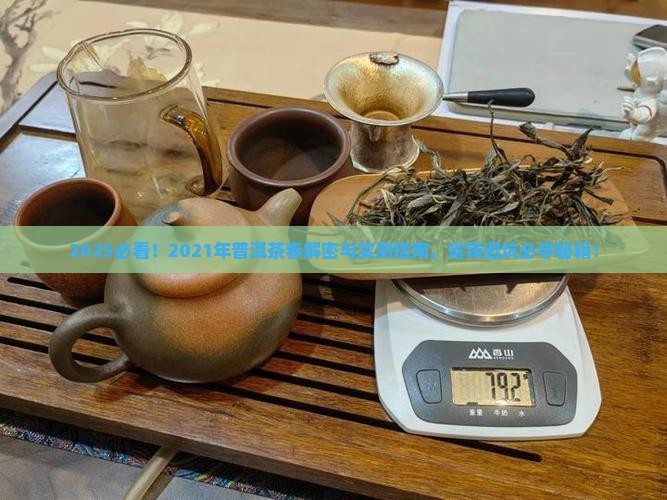 2021年普洱茶春