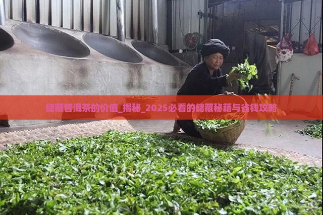 储藏普洱茶的价值