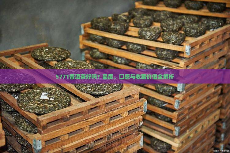 5771普洱茶好吗