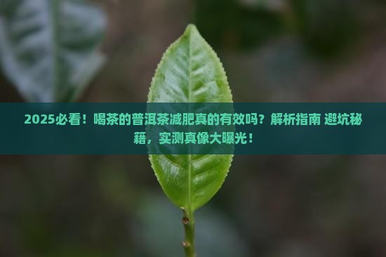 喝茶的普洱茶减肥